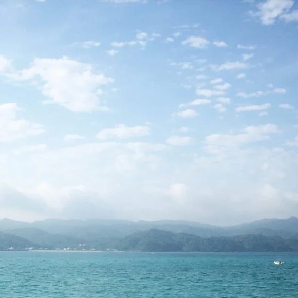 Meet Your Posher, Randi - Picture 1 of 1